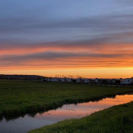 Charmante Maisonnette Proche Plage Et Commerces Блонвіль-сюр-Мер Екстер'єр фото